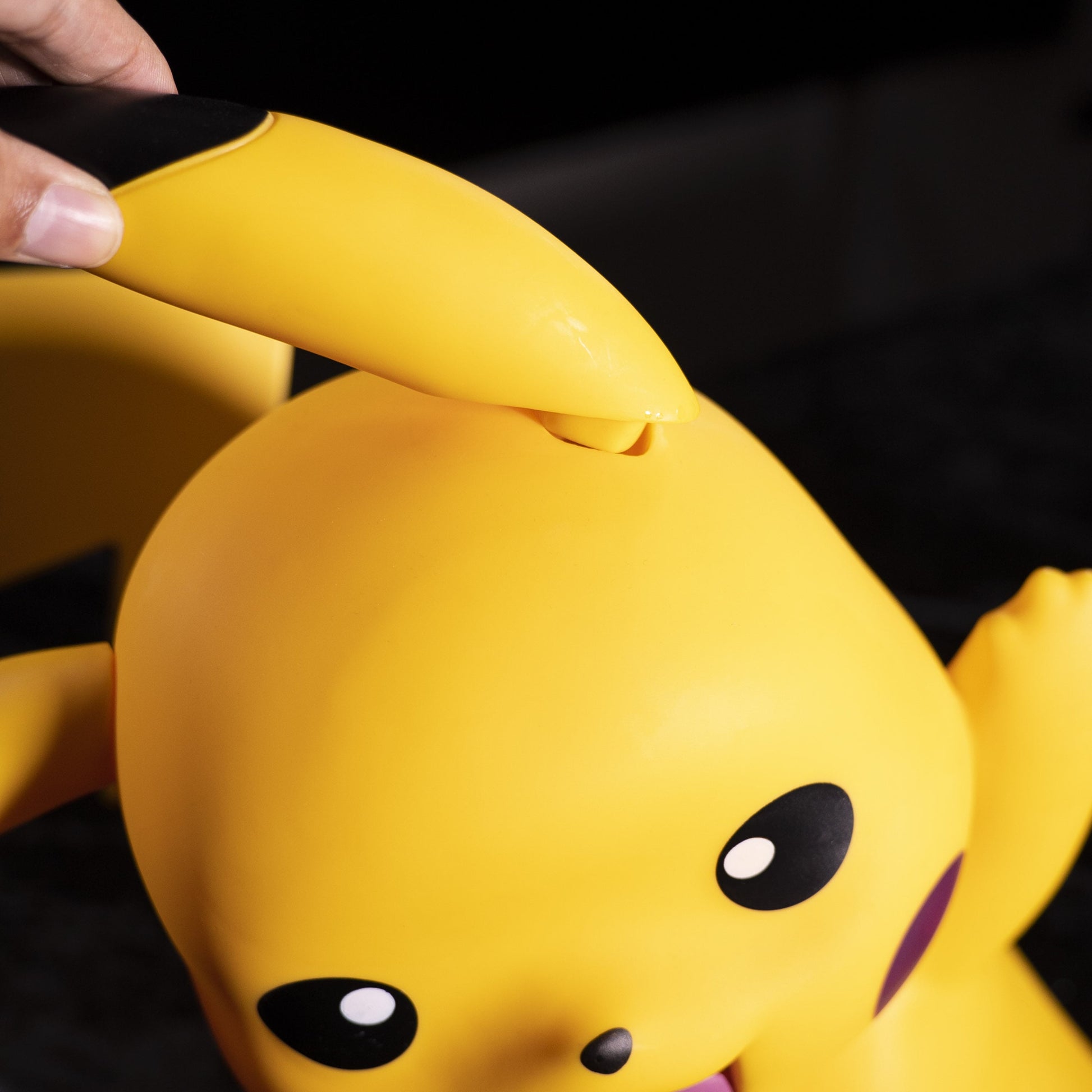POKEMON Pikachubi doll pic 3