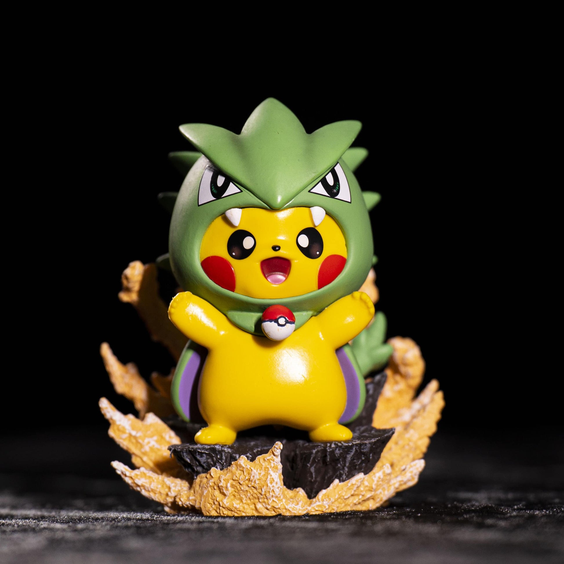 Pikachu Banjara pic 6
